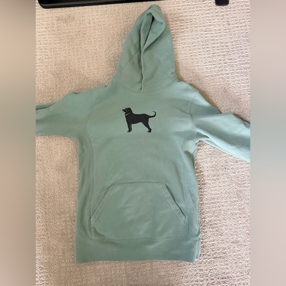 The Black Dog Mint Green Hoodie with Black Dog Graphic